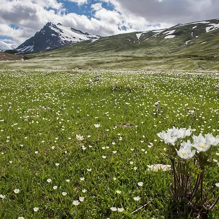 Centro Di - Bilocale Grazioso E Silenzioso * 아오스타