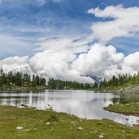 Centro Di - Bilocale Grazioso E Silenzioso * 奥斯塔
