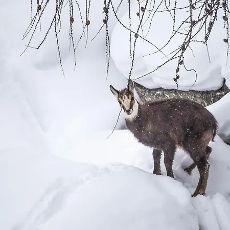 아파트 Centro Di - Bilocale Grazioso E Silenzioso 아오스타