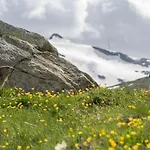 Centro Di - Bilocale Grazioso E Silenzioso *