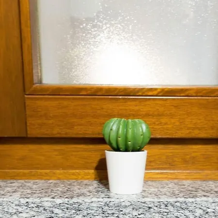 Centro Di - Bilocale Grazioso E Silenzioso Апартаменты