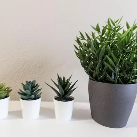 Апартаменты Centro Di - Bilocale Grazioso E Silenzioso