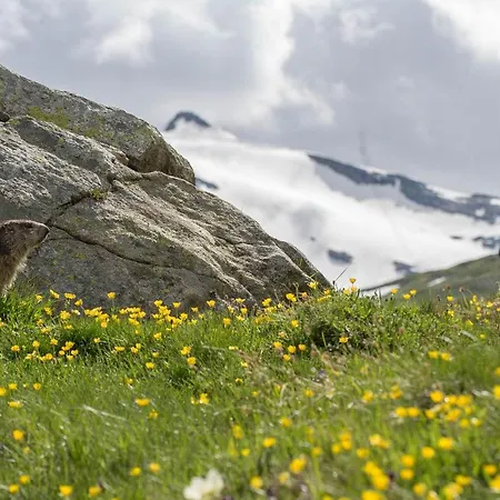 Centro Di - Bilocale Grazioso E Silenzioso *