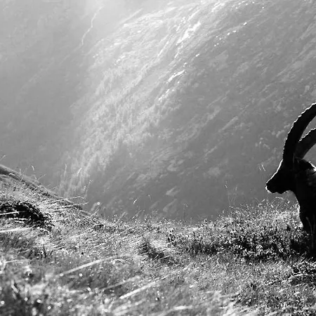 Appartamento Centro Di - Bilocale Grazioso E Silenzioso *