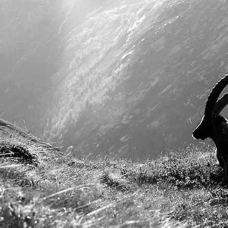 Appartamento Centro Di - Bilocale Grazioso E Silenzioso